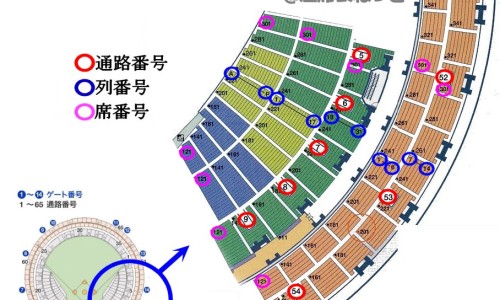 治疗鼻炎时棉签蘸的药是什么-鼻炎滴鼻药用棉签网鼻炎棉签蘸药塞鼻子流鼻涕是咋回事啊知识网站,分享鼻炎滴鼻药用棉签有用吗大全