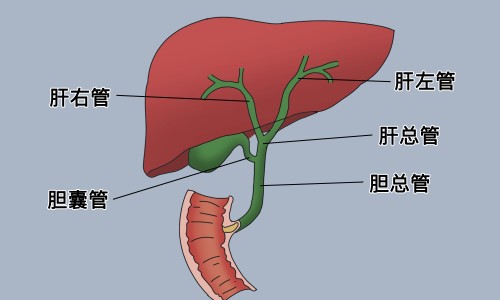 鼻炎滴鼻药用棉签网鼻炎棉签蘸药塞鼻子流鼻涕是咋回事啊知识网站,分享鼻炎滴鼻药用棉签有用吗大全
